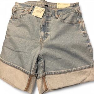 American Eagle Outfitters Light Blue Jean Shorts